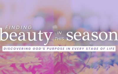 Finding Beauty in This Season
