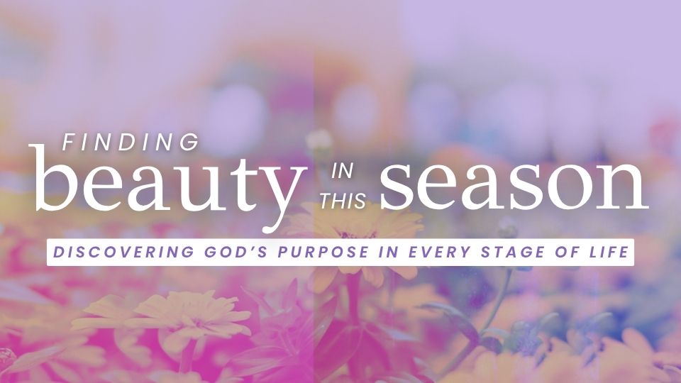 Finding Beauty in This Season